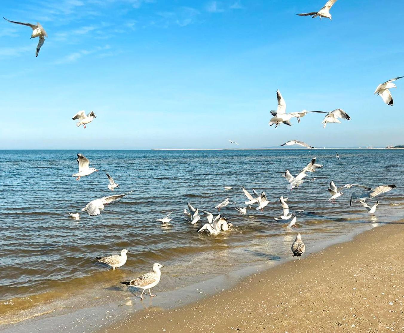 Visit Baltic - Rezydencja Sienkiewicza Rs1.07 Świnoujście Exteriör bild